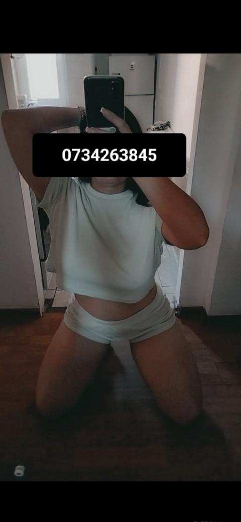 Companion de călătorie în Ștefan cel Mare