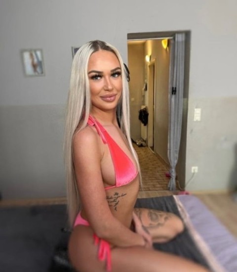 Escortă bărbați în Pipera