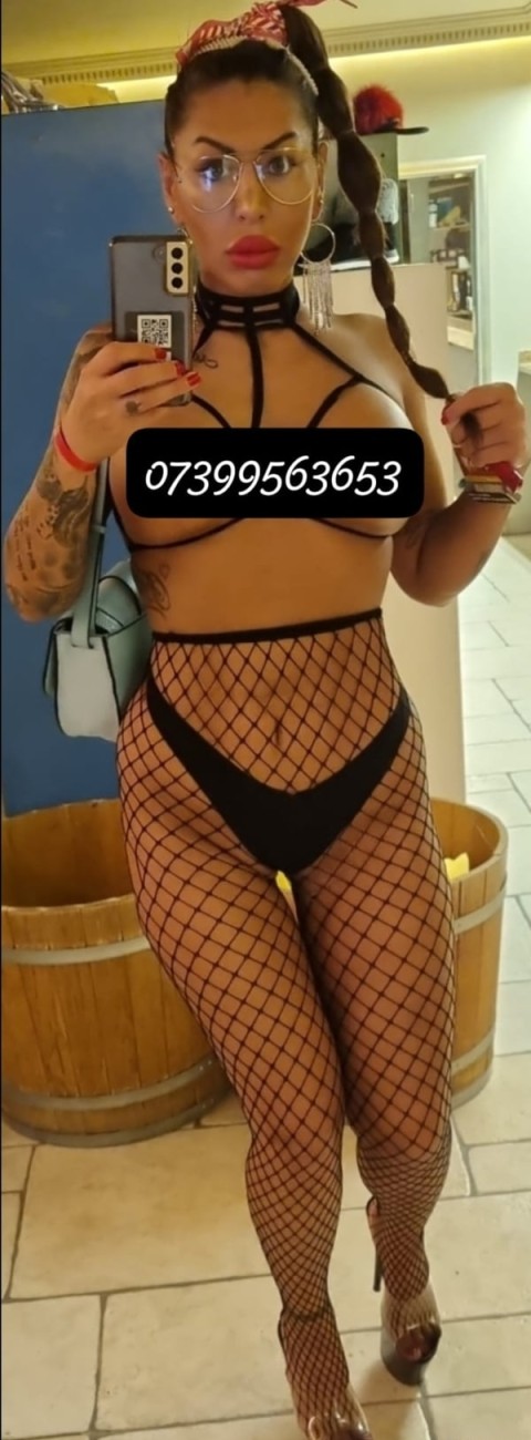 Fantezii Latine în Sibiu · latină